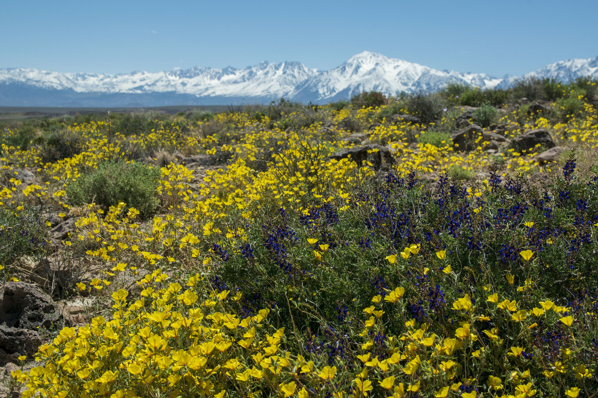DSC_0628.jpg