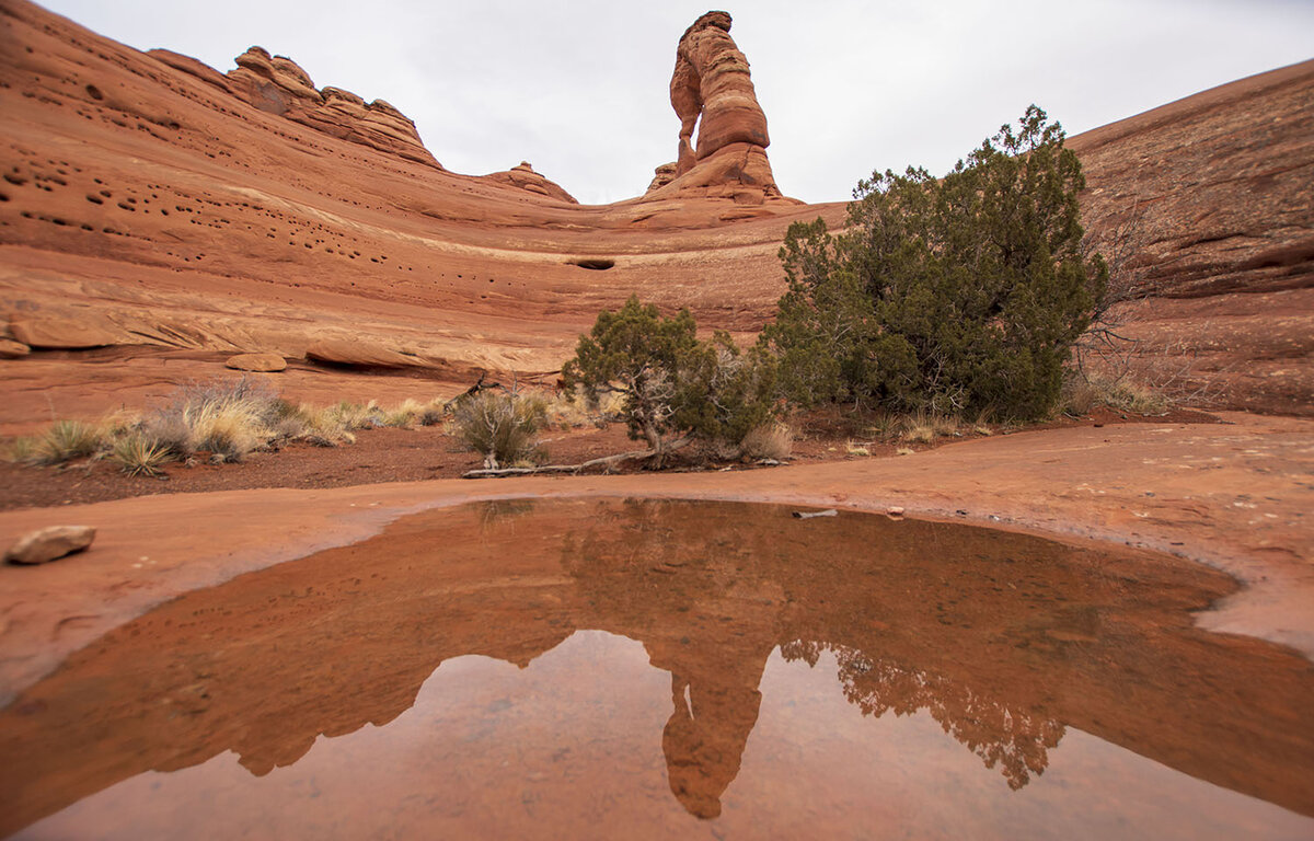 DSC_0634.jpg