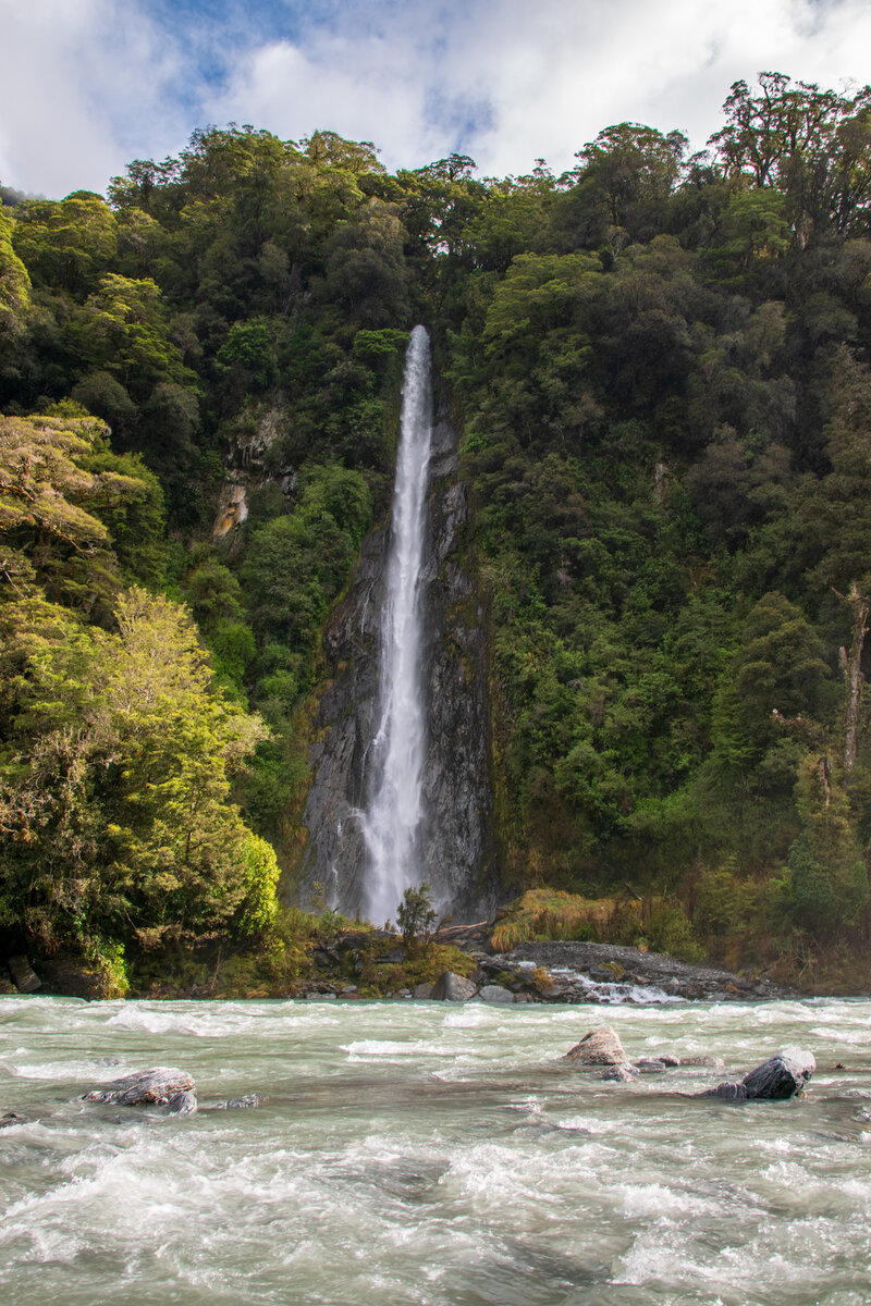 DSC_0731.jpg