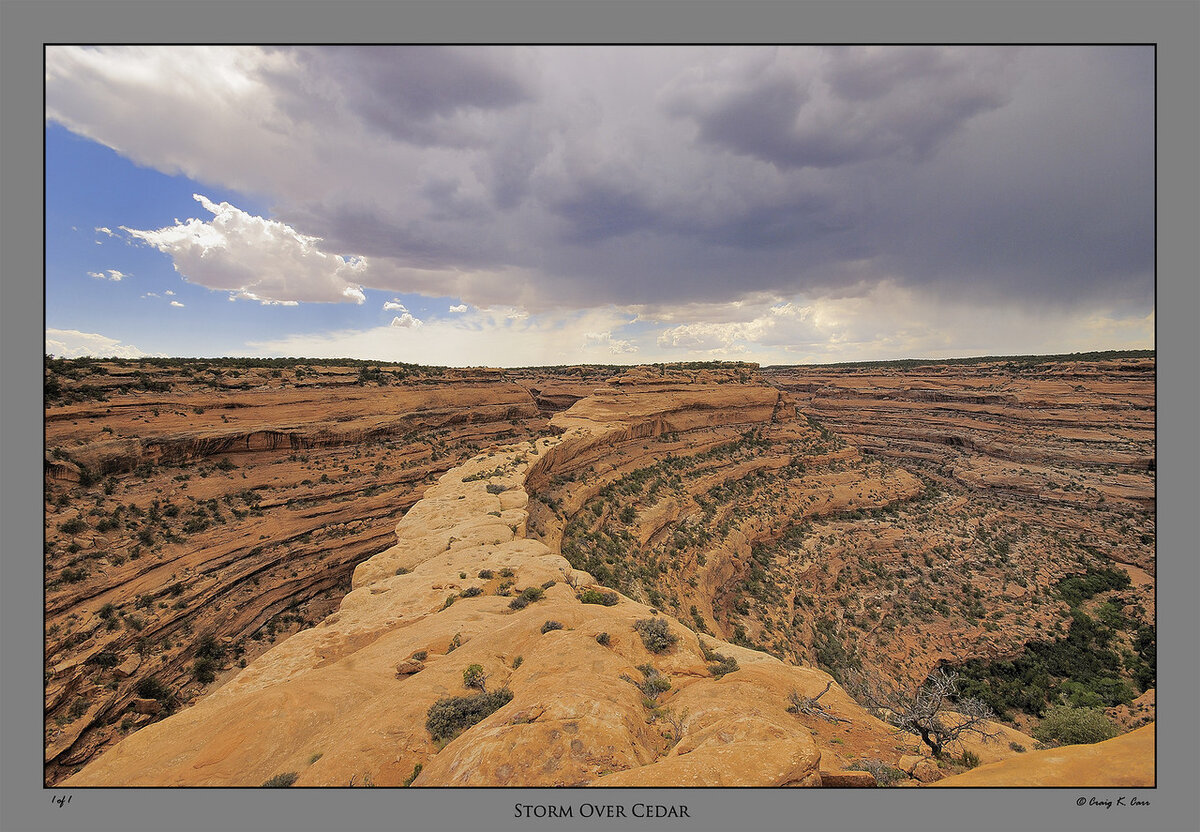 DSC_1042_5-X2.jpg
