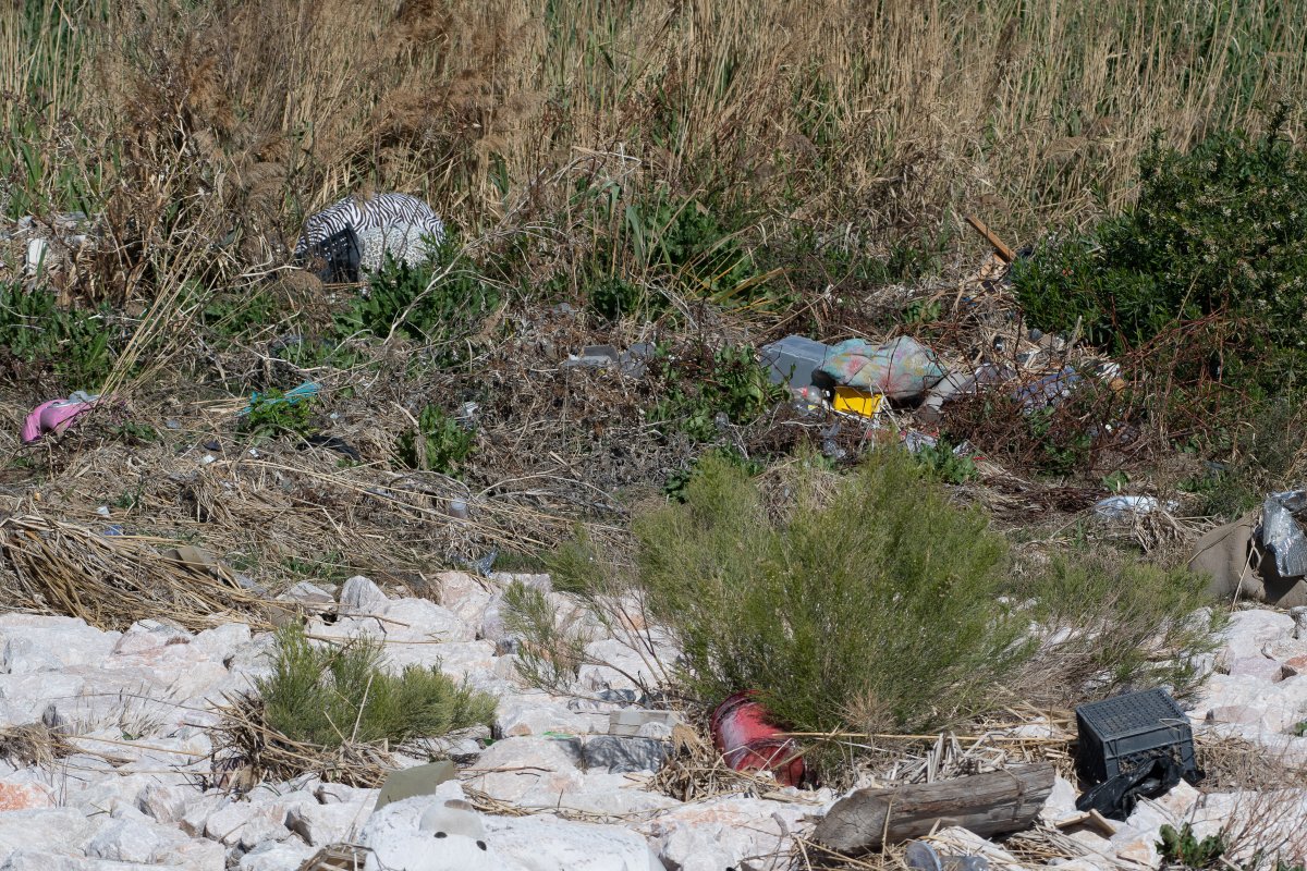 DSC_1046.jpg