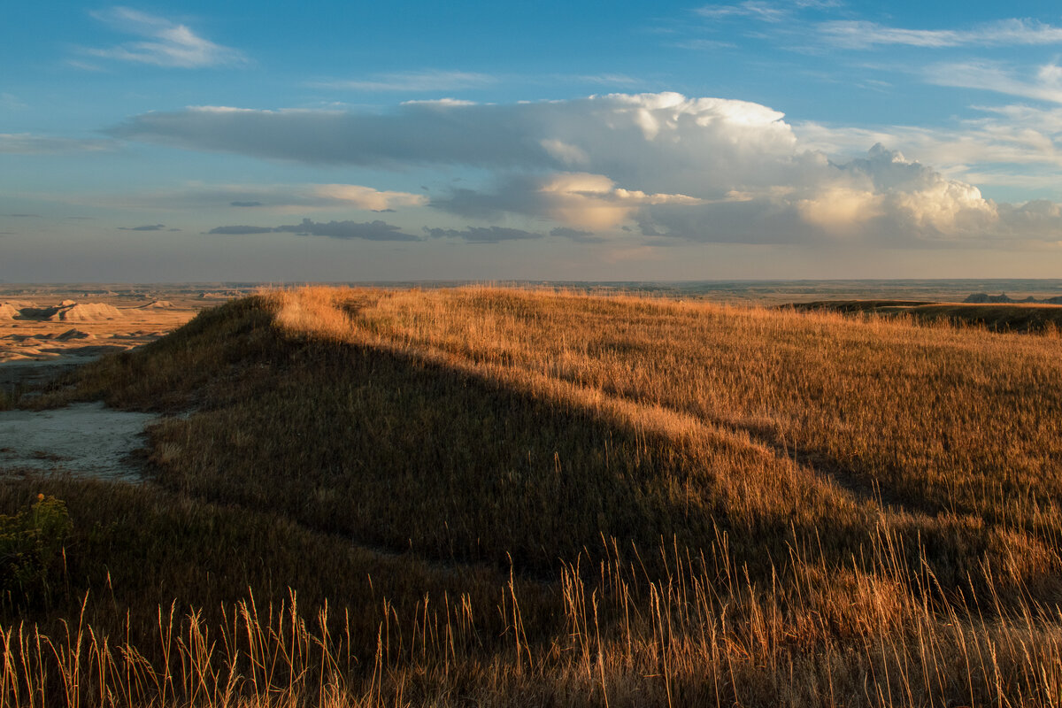 DSC_1343-Edit-Edit.jpg