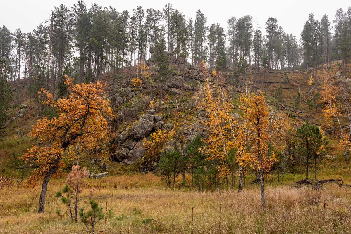 DSC_1360.jpg
