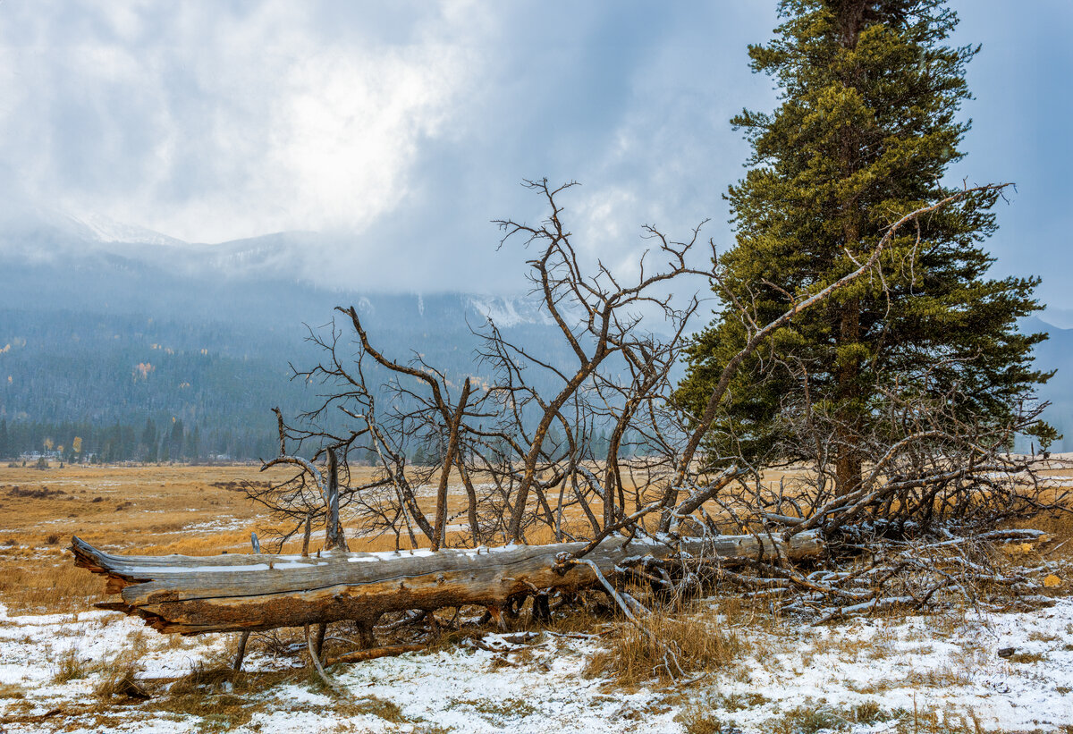 DSC_1478-Pano-Edit.jpg