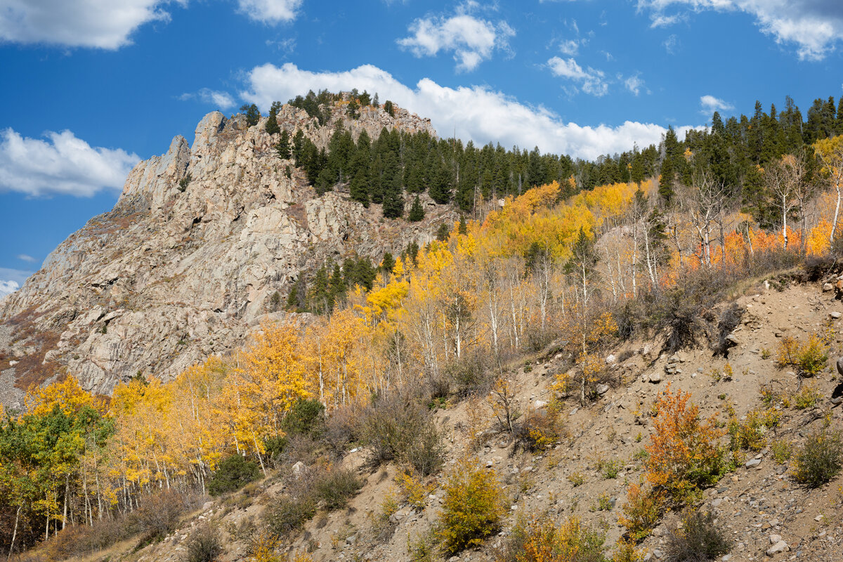 DSC_1567-Edit.jpg