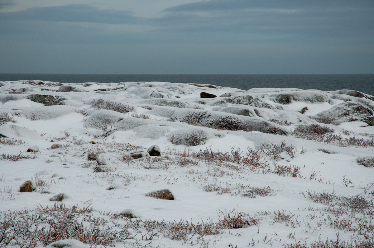 DSC_1658.jpg