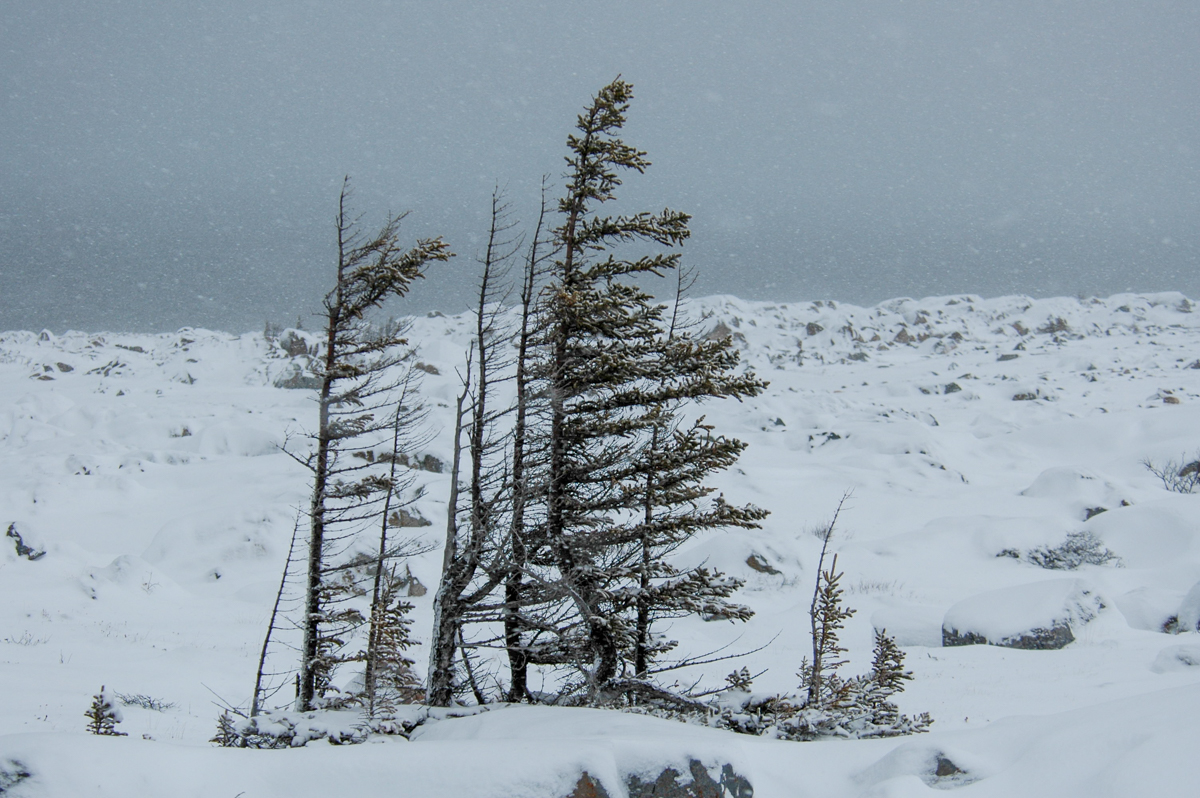 DSC_1768.jpg