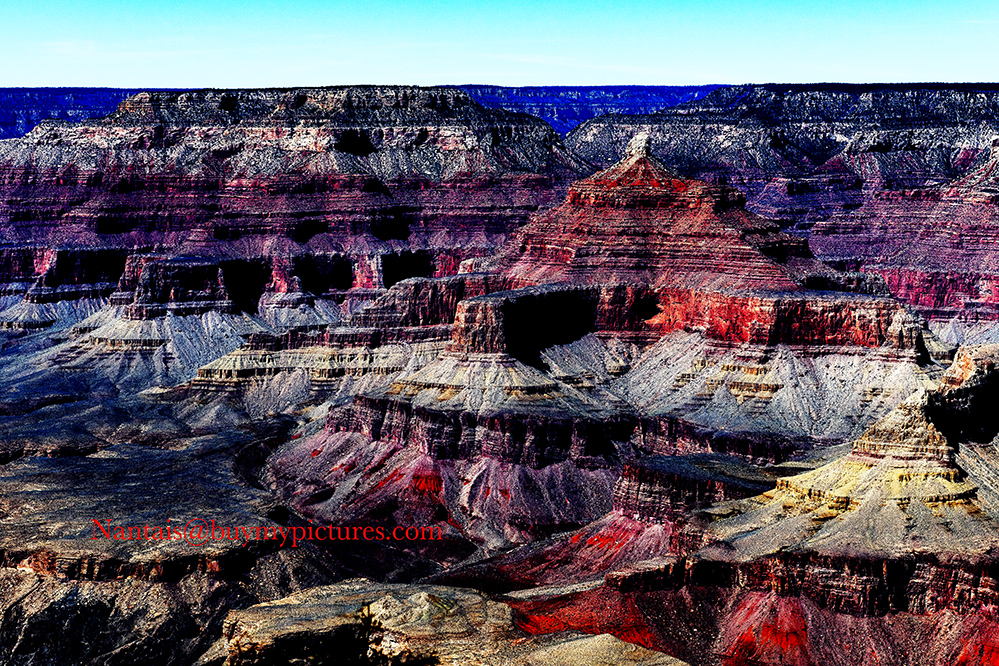 DSC_2408s.jpg
