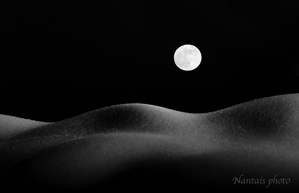 DSC_3055anbS.jpg