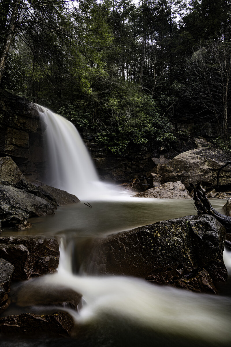 DSC_3508.jpg