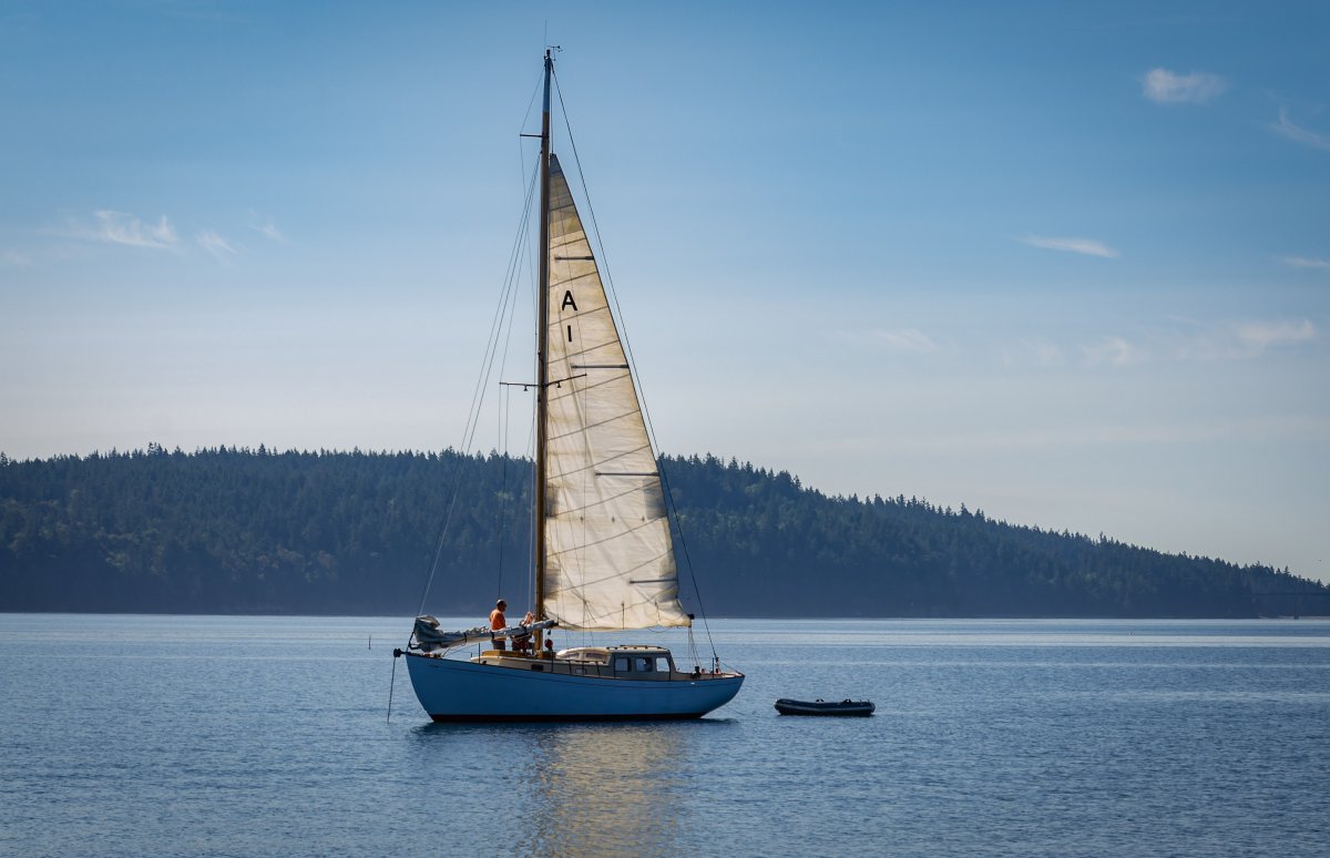 DSC_3590-4.jpg