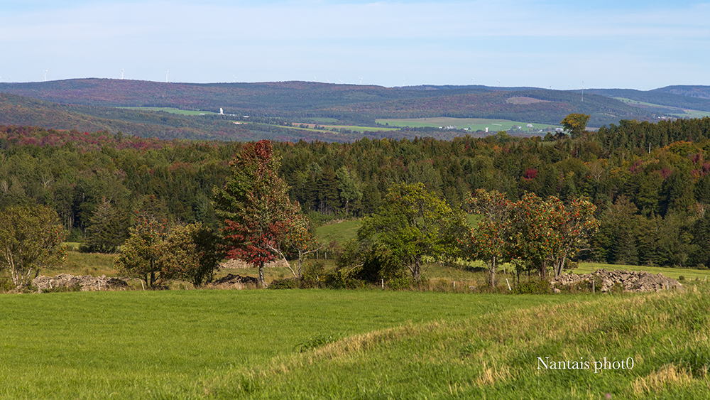 DSC_3728s.jpg