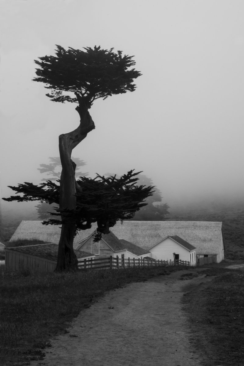 DSC_3793 f.jpg