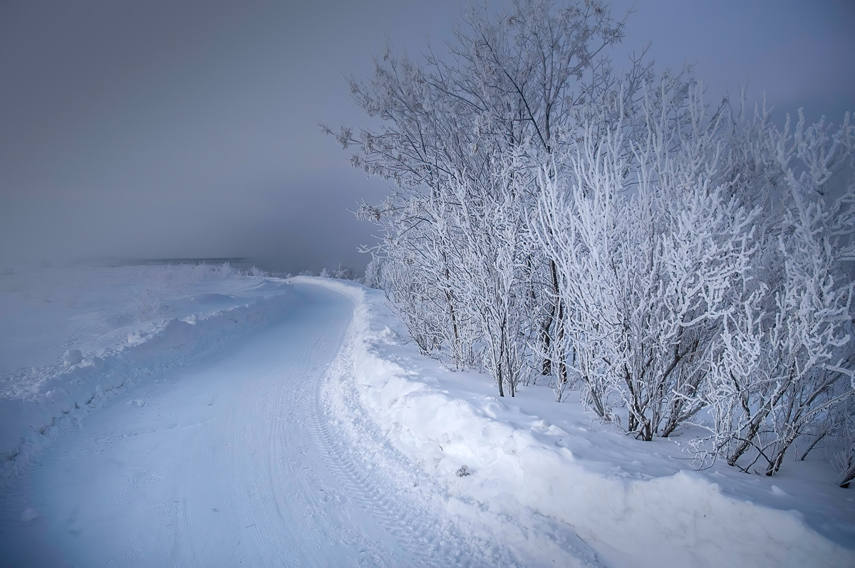 DSC_3794-Edit.jpg