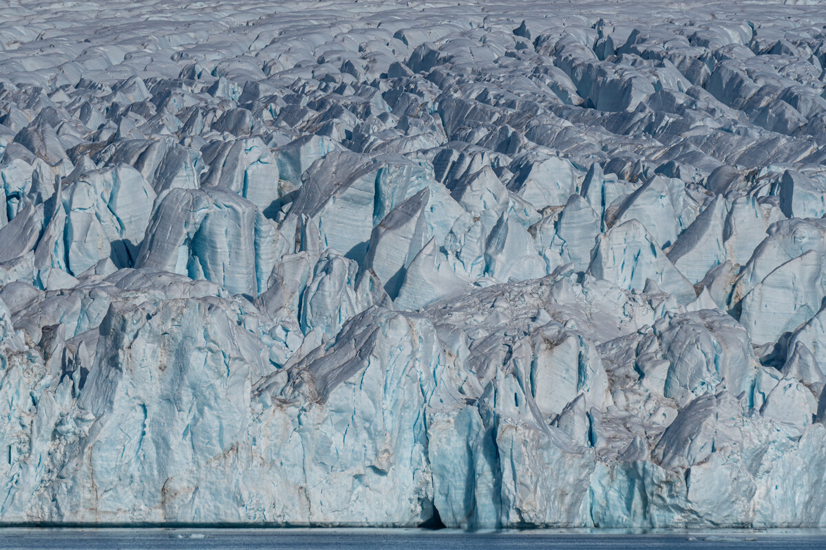 DSC_5239-Enhanced-NR.jpg