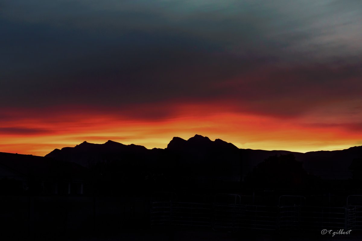 DSC_6396-Edit-2.jpg