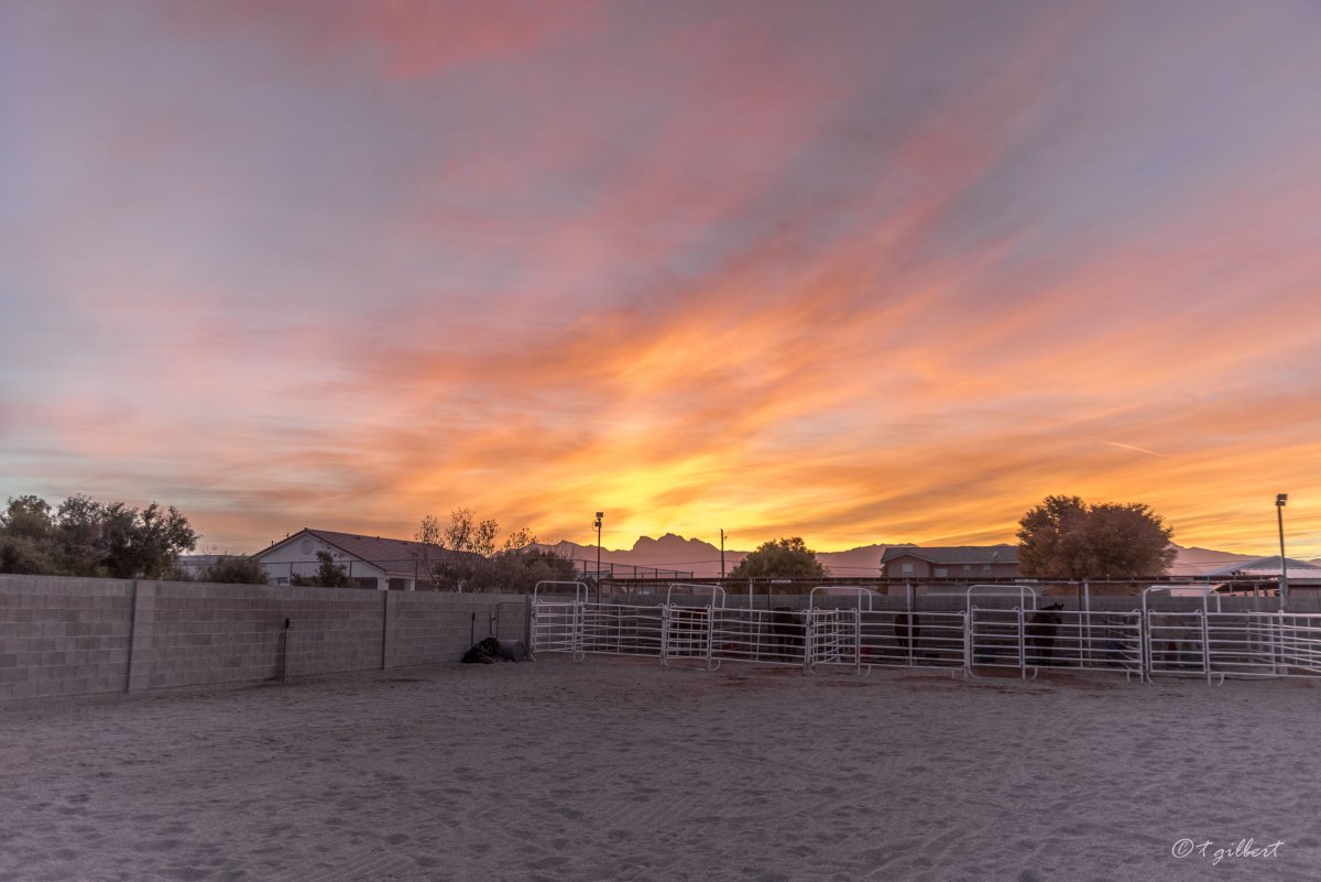 DSC_6417.jpg