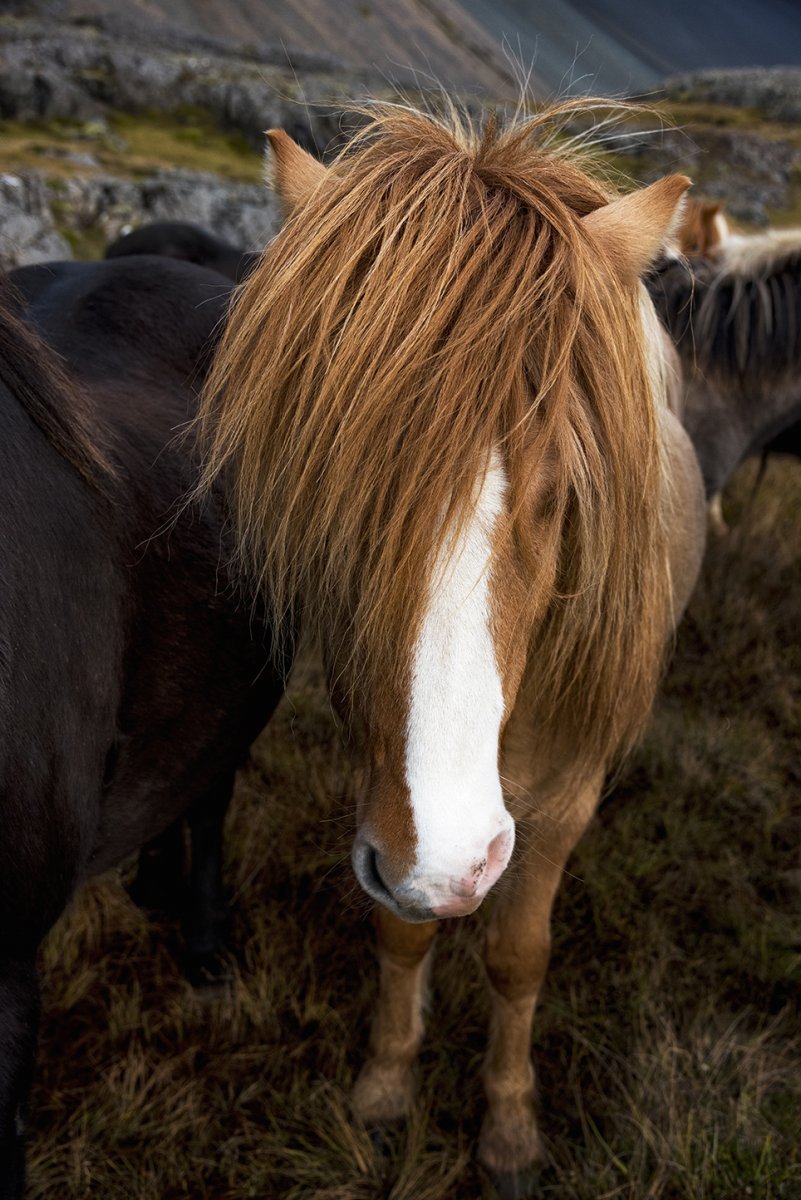 DSC_6471NoName.jpg