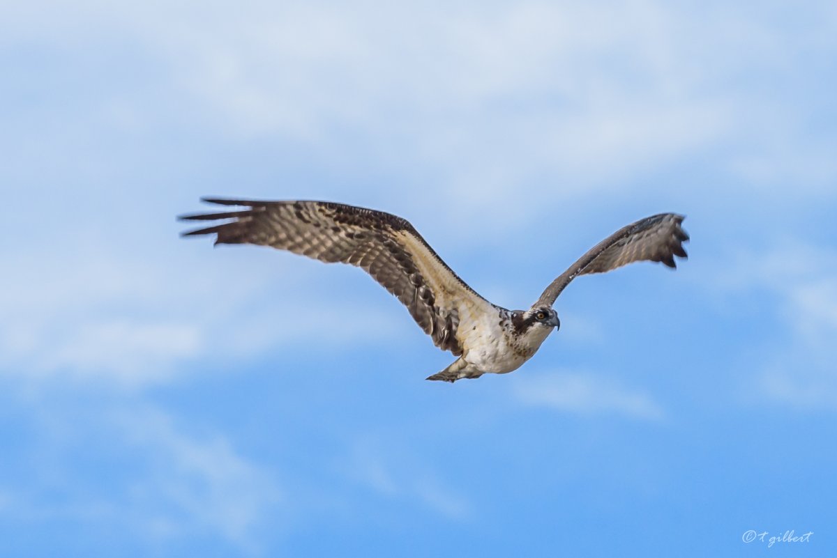 DSC_6781.jpg