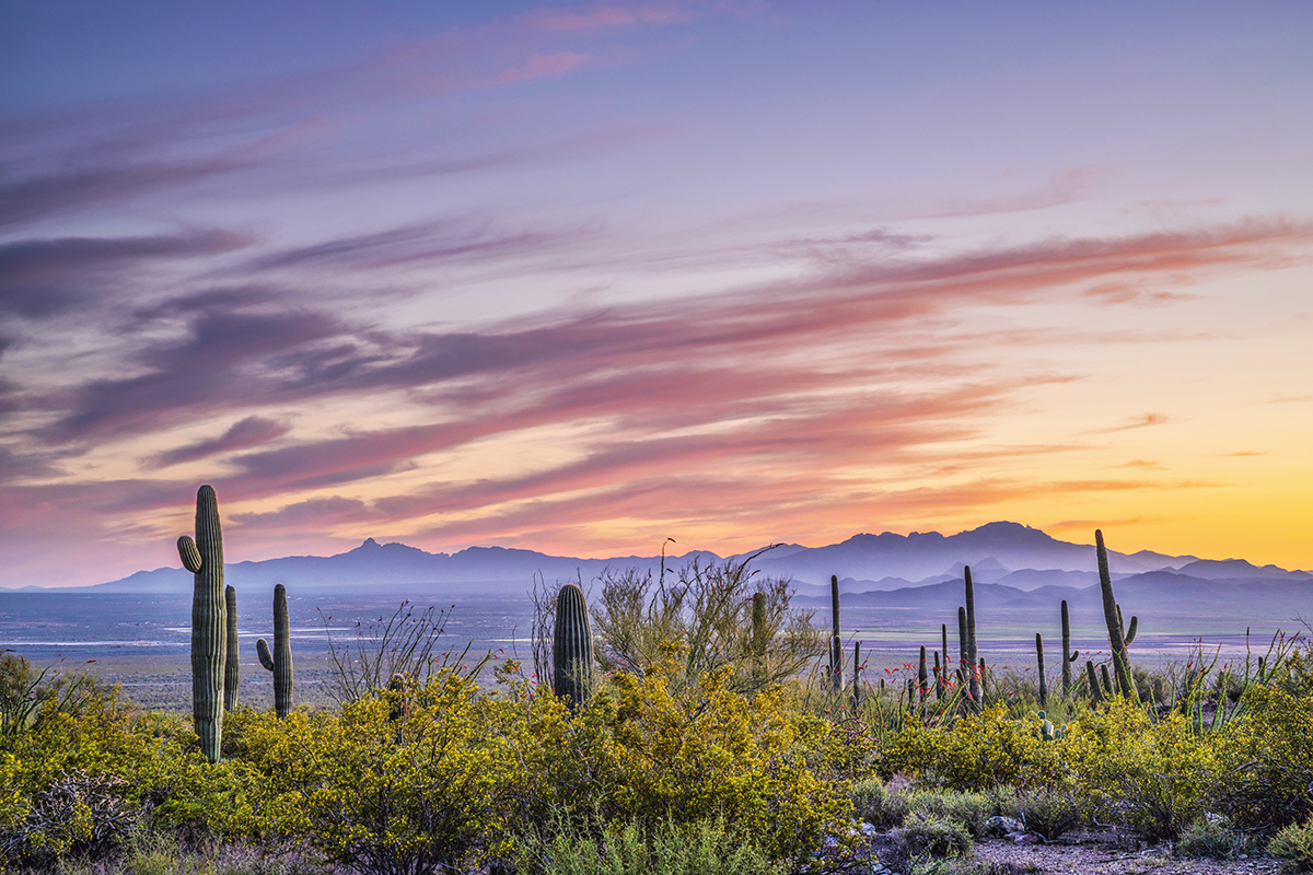 DSC_7179 copy2 copy 2.jpg