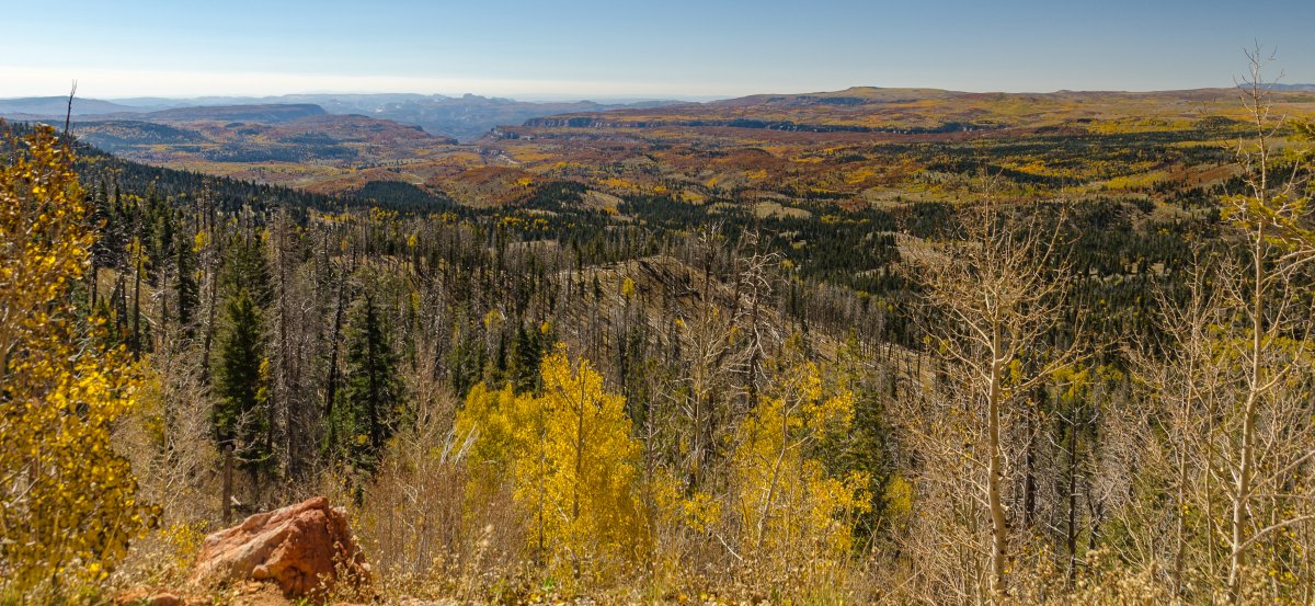 DSC_7435-2.jpg