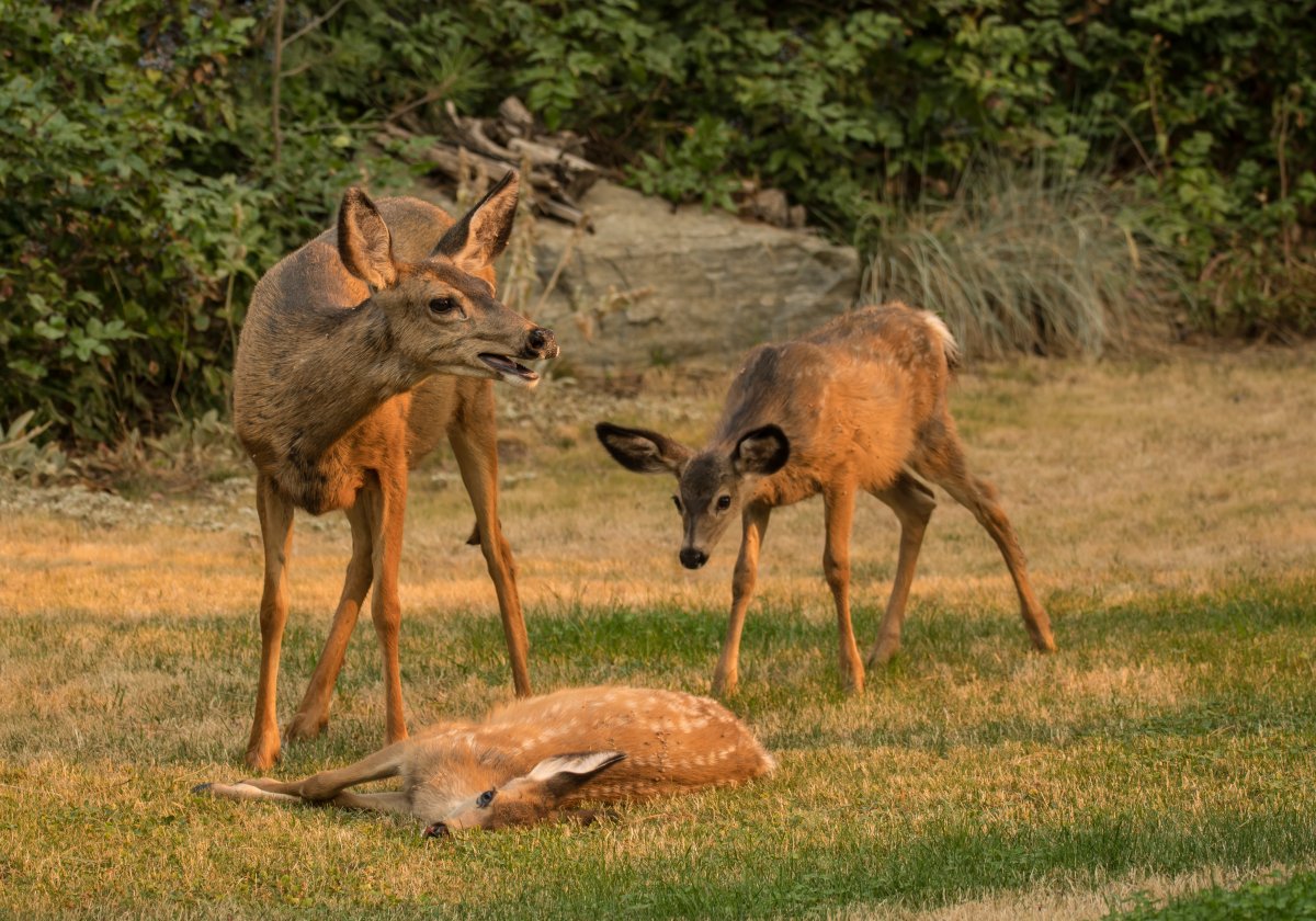 DSC_7490.jpg