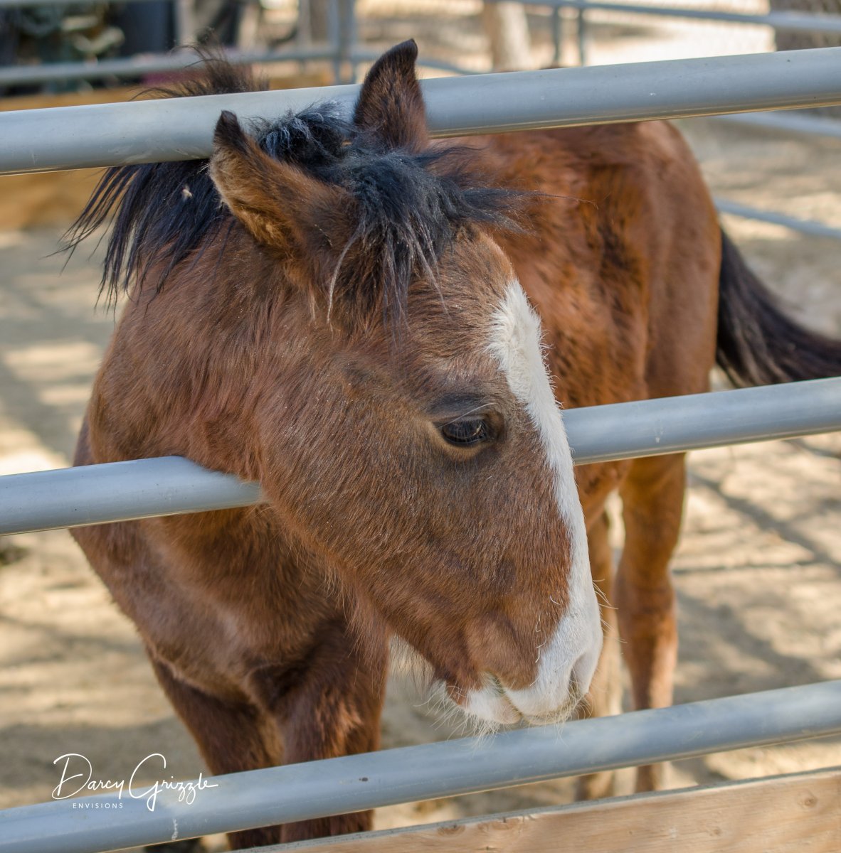 DSC_7648.jpg