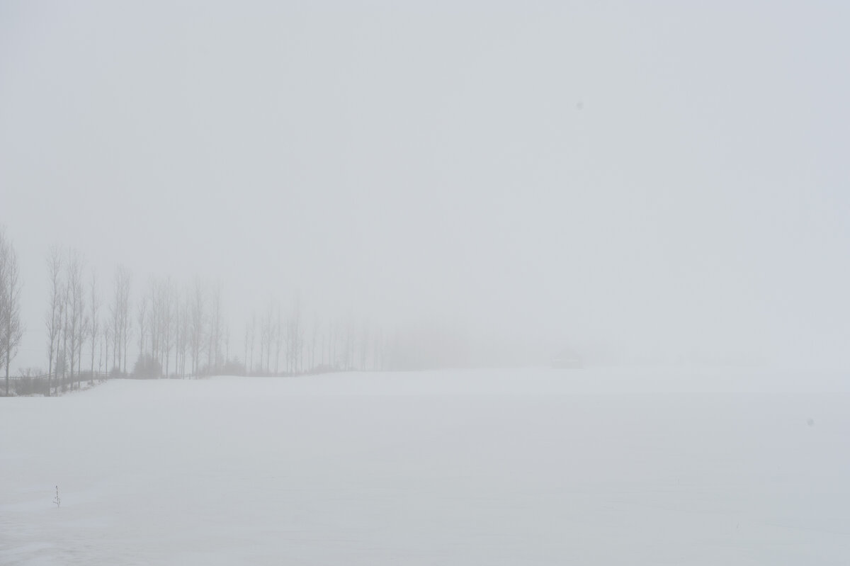 DSC_8258fw.jpg