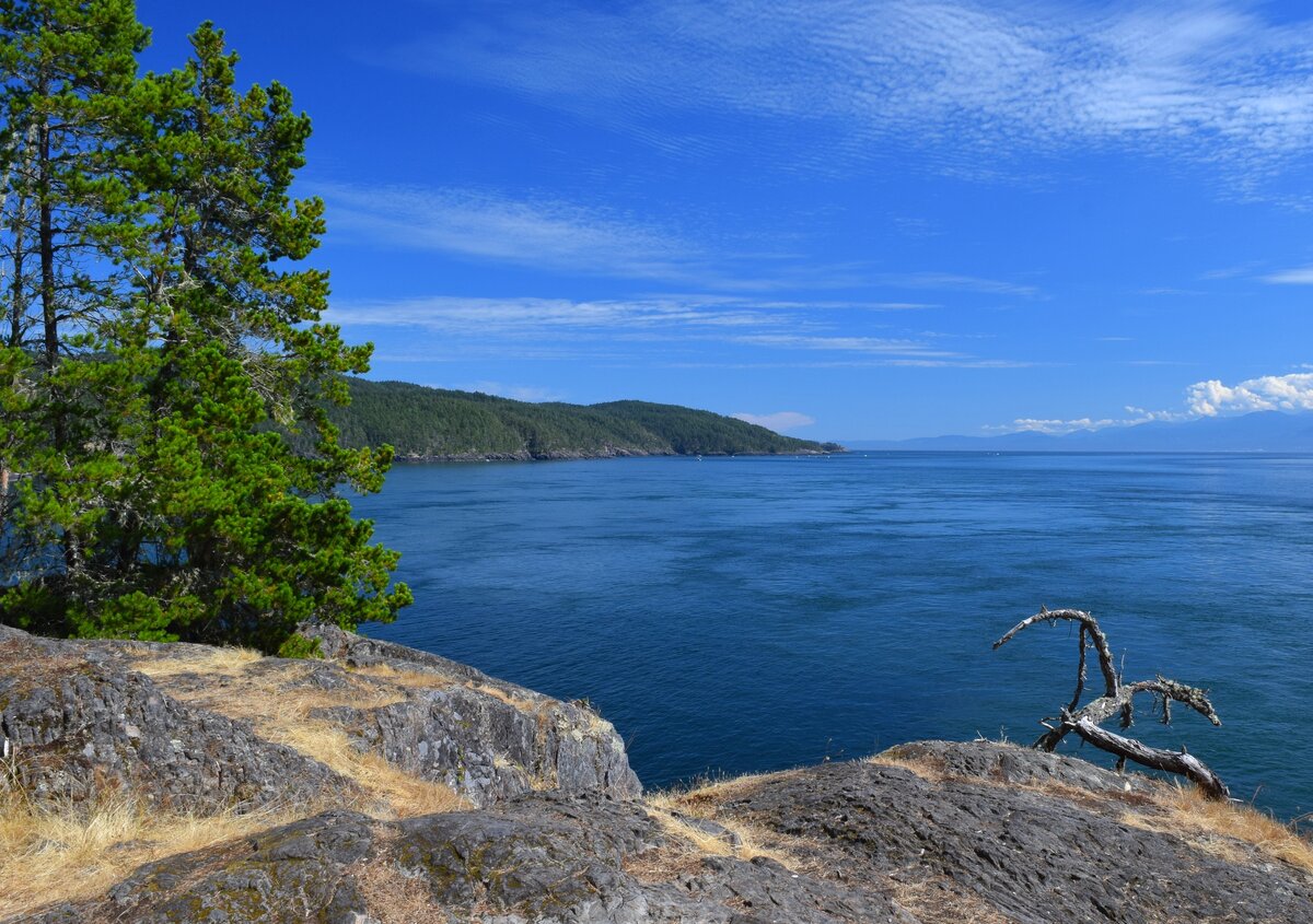 DSC_8382_resize.JPG