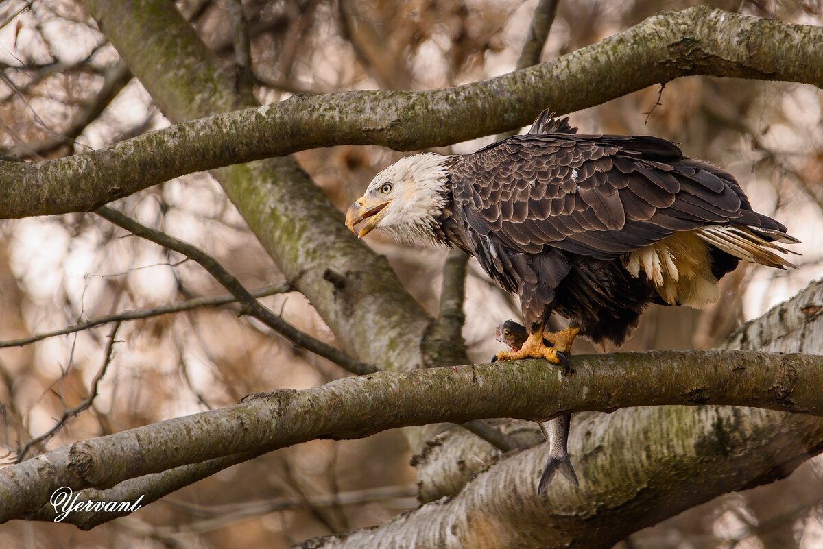DSC_8778-Edit.jpg