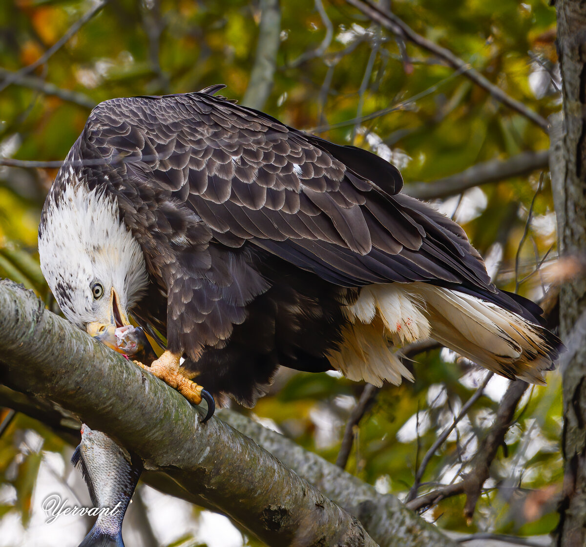 DSC_8808-Edit.jpg
