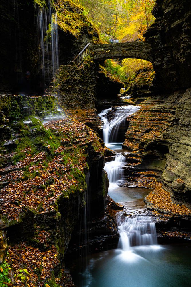 DSC_8809-Edit.jpg