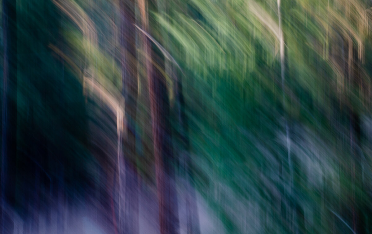 DSC_8872.jpg