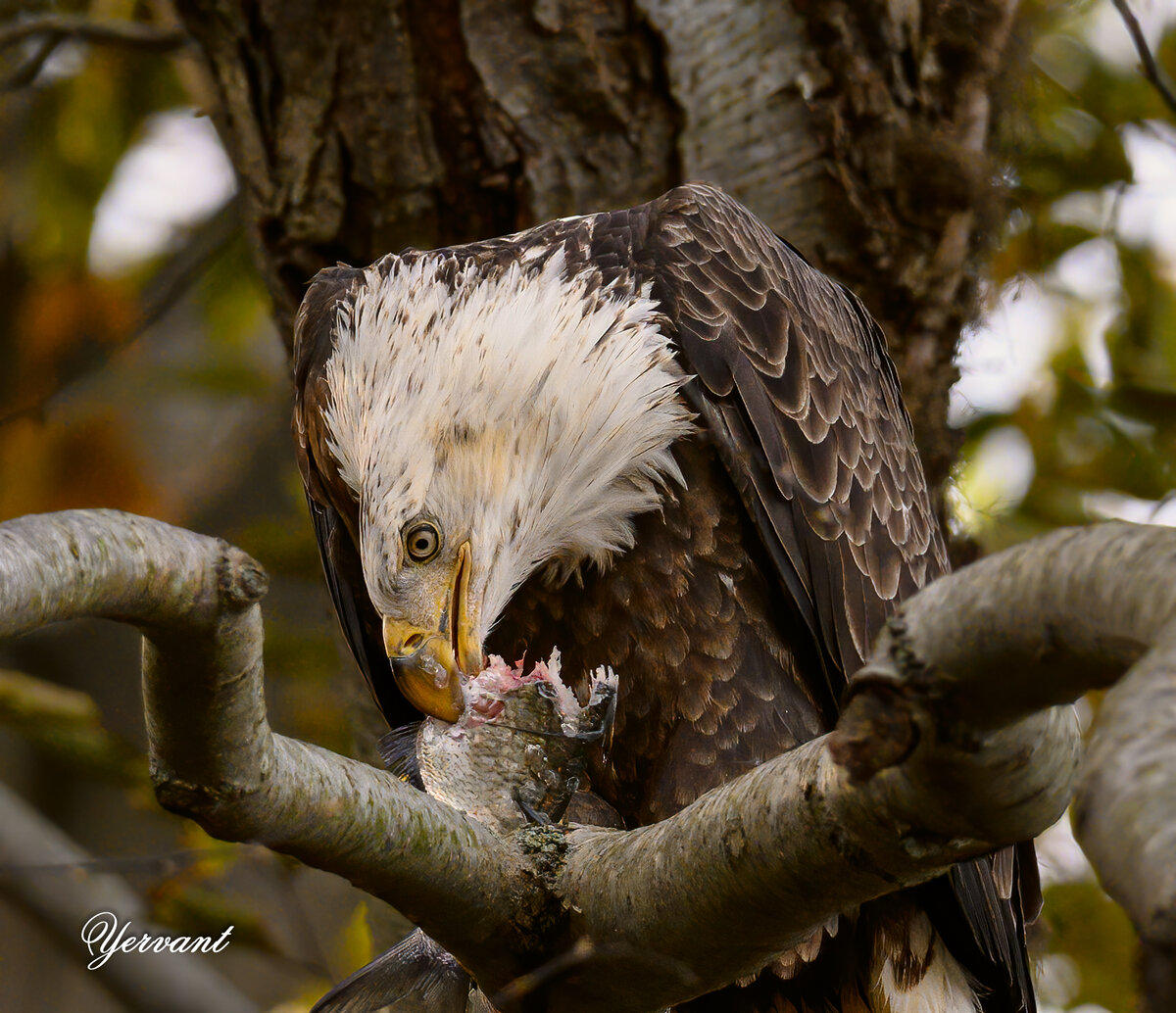 DSC_9124-Edit-Edit.jpg