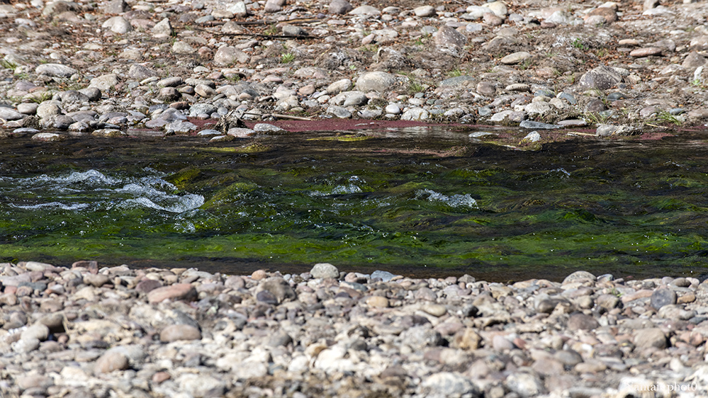 DSC_9653s.jpg