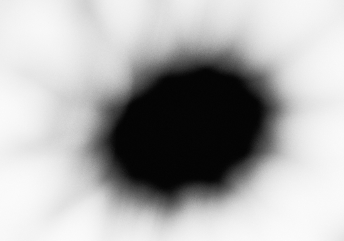 DSCF0230.jpg