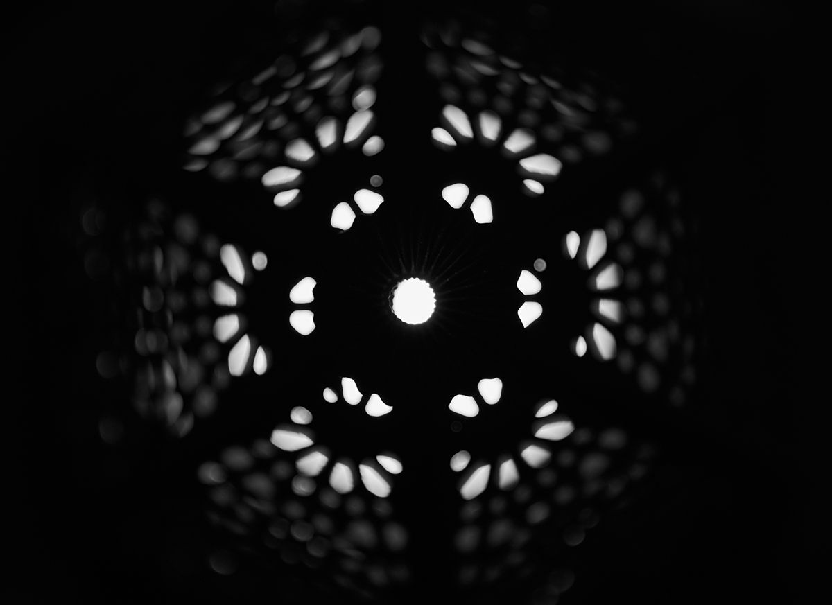 DSCF0239.jpg