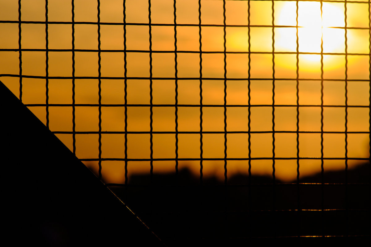 DSCF2726.jpg