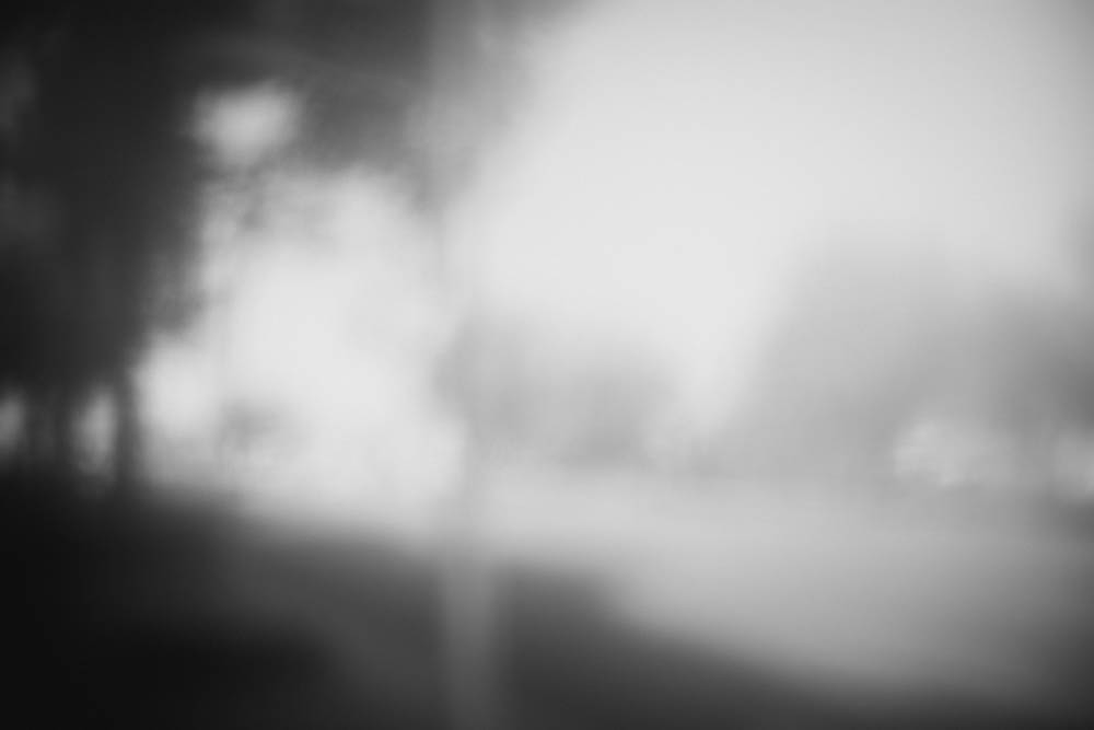 DSCF3411.jpg