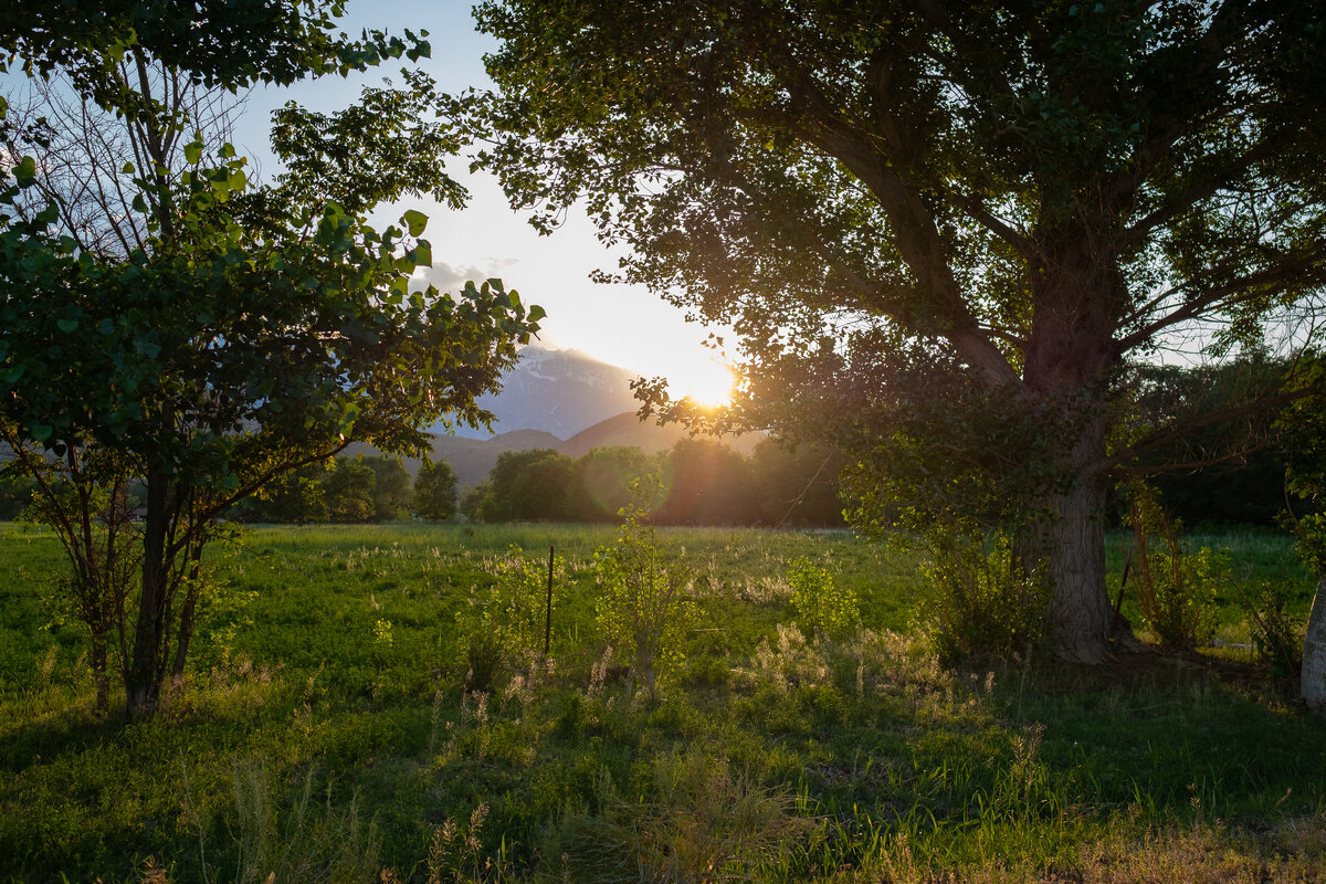 DSCF6179-2.JPG