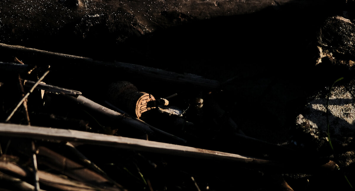 DSCF9965.JPG