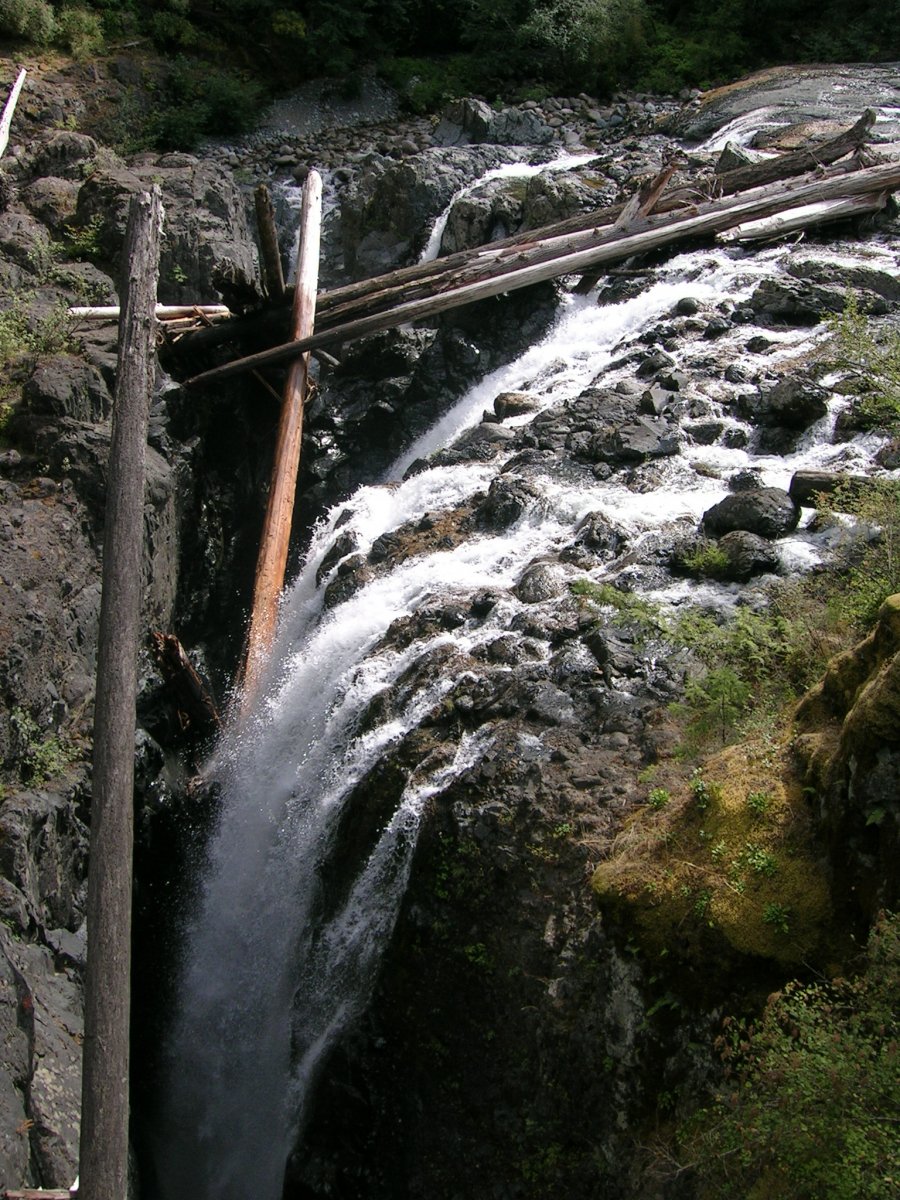 DSCN2745.JPG