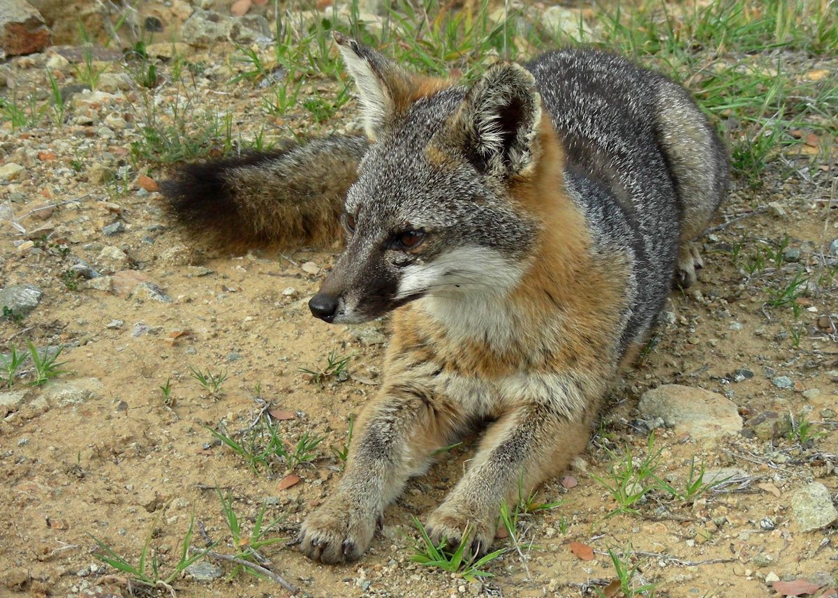 DSCN6068_crop.JPG