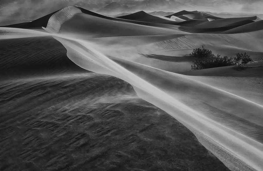 dune1sharp_printbw FW.jpg