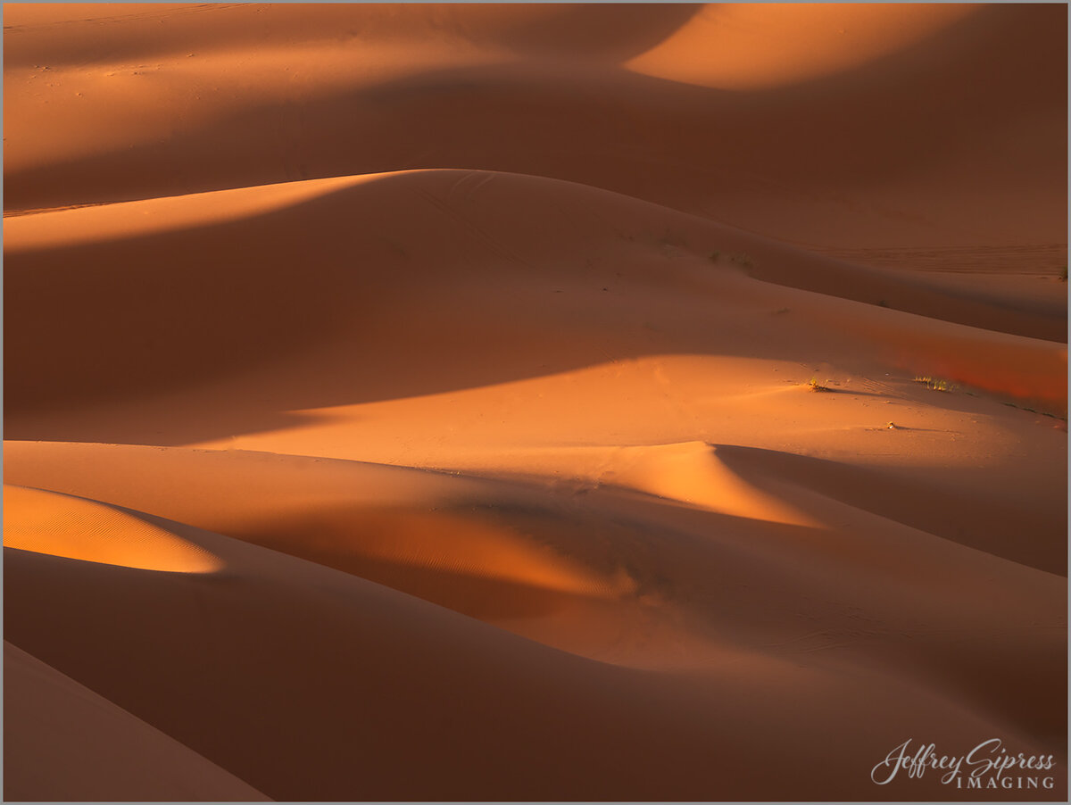 dunesunrise2.jpg