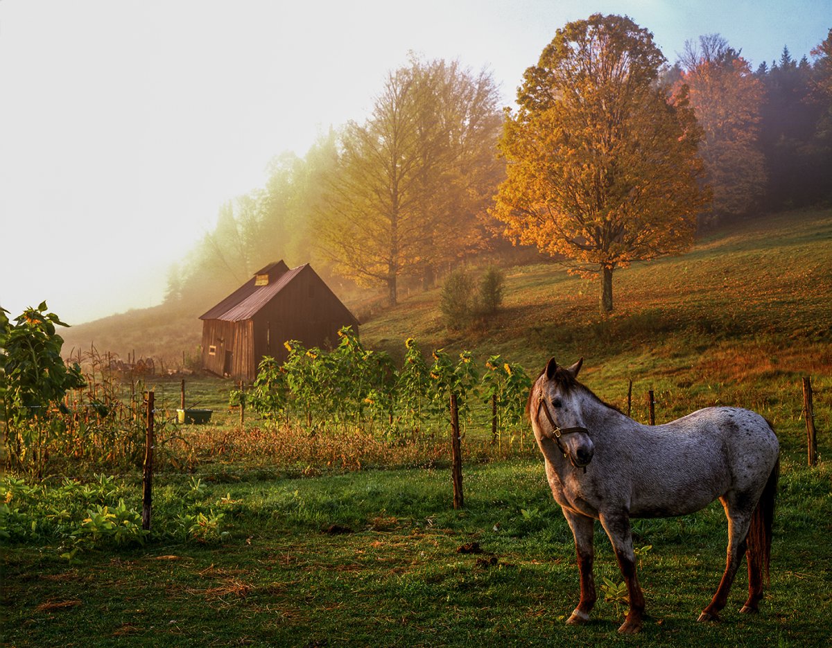 E C.orinth, Vermont.jpg