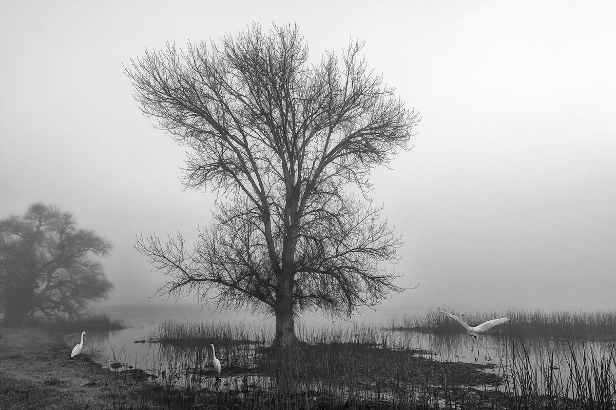 E7913150-B3E7-4B75-A460-3F6F05E968F4.jpeg
