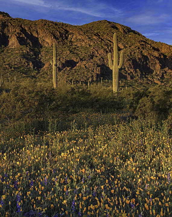 Early Lightr, Picacho Peak State Park, AZ.jpg