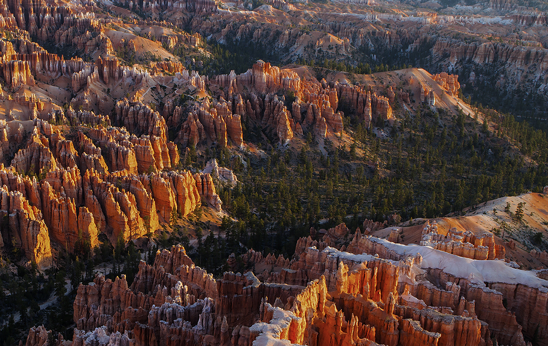 Early Morning Light at Bryce Canyon.jpg