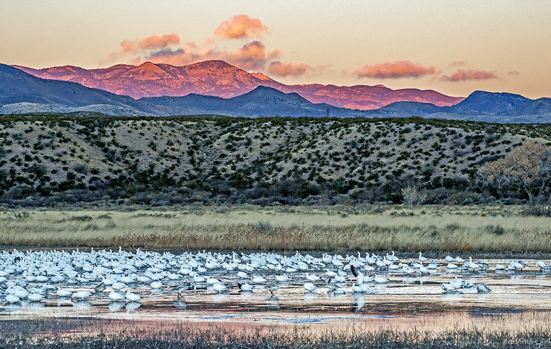 Ed Cranepool Pond (1 of 1).jpg